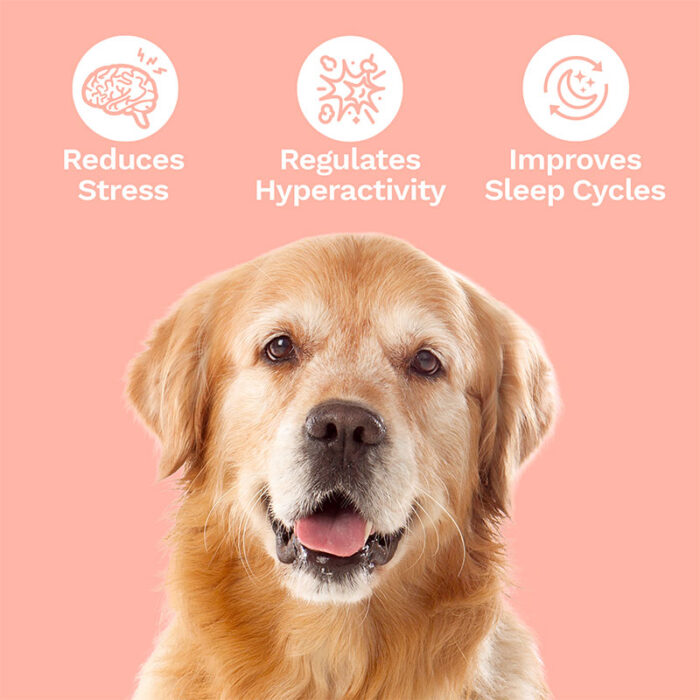 Penelope's Bloom CBD Dog Treats for Stress and Anxiety Highlights