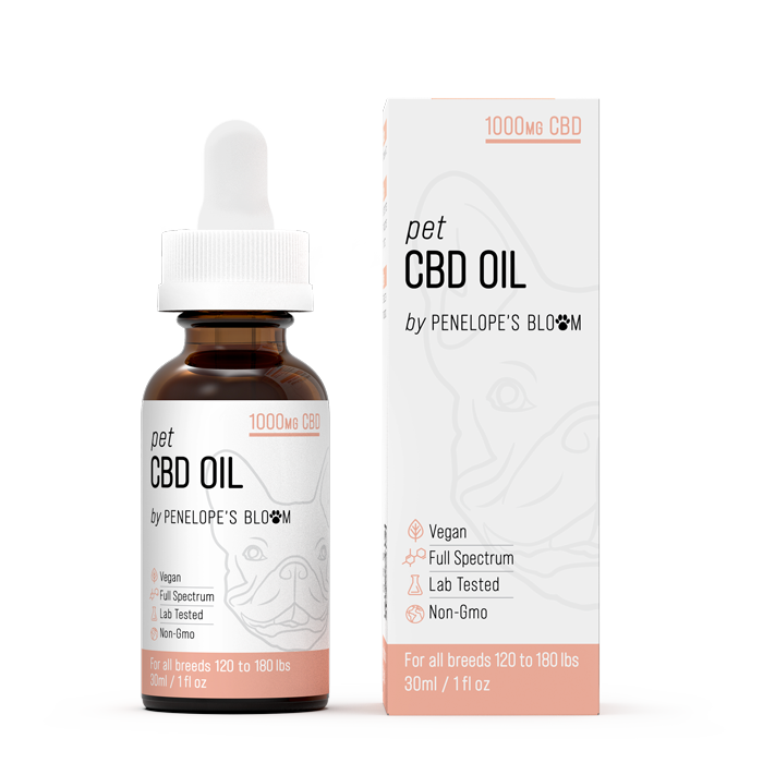 CBD Oil For Dogs 250mg - 1000mg