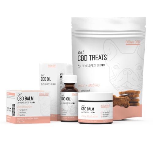 1 CBD Dog Treats for Joint Pain + Mobility Support Penelope's Bloom