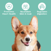 PenelopesBloom CBD Dog Treats for Heart and Immunity Highlights