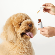Penelopes Bloom Pet CBD Tincture for Dogs and Cats