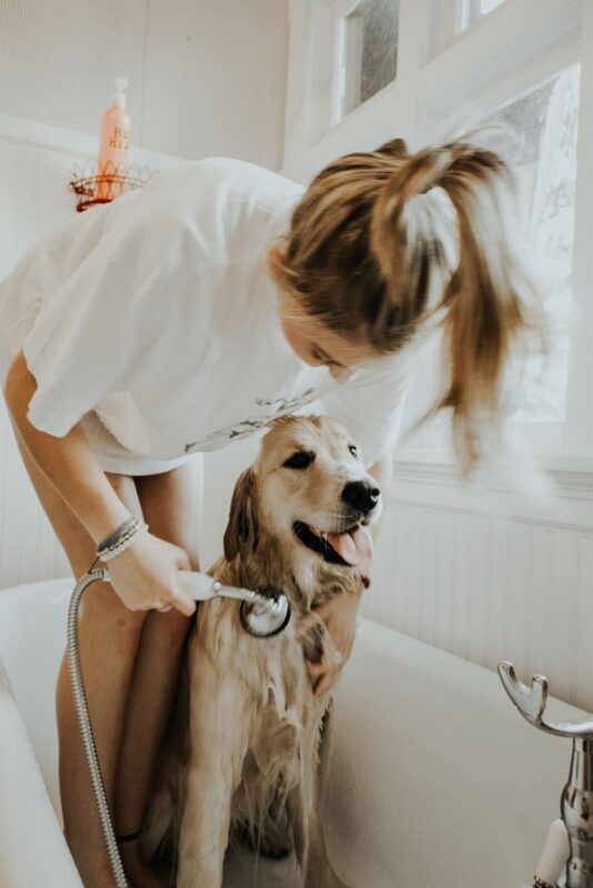 woman bathing dog