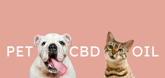 Penelope's BLoom Pet CBD Oil Collection