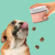 Penelope's Bloom CBD Soft Chews For Stress and Anxiety for Dogs