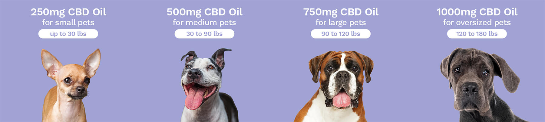 Penelope's Bloom Peanut Butter Flavor CBD Oil For Dogs Dosing Chart