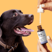 Penelope's Bloom Peanut Butter Flavor CBD Oil For Dogs: Dogs Love it