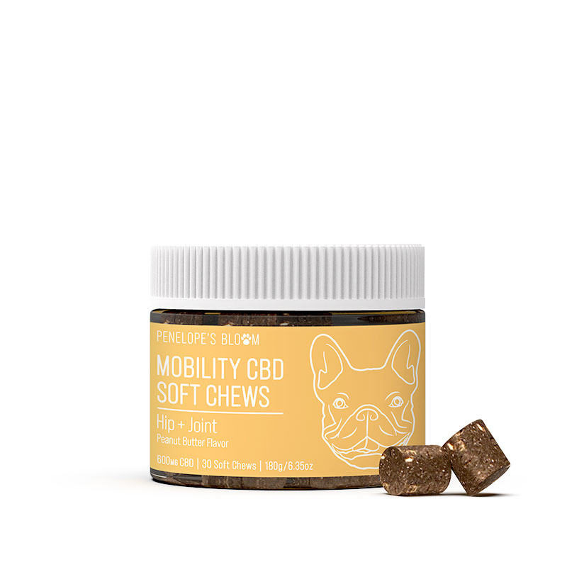 CBD Soft Chews For Joint + Mobility – Medium To Large Dogs - 600mg