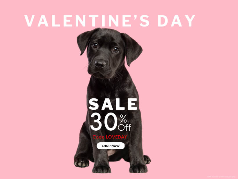 Penelope's Bloom Happy Valentine's Day - Shop CBD for your Pet NOW