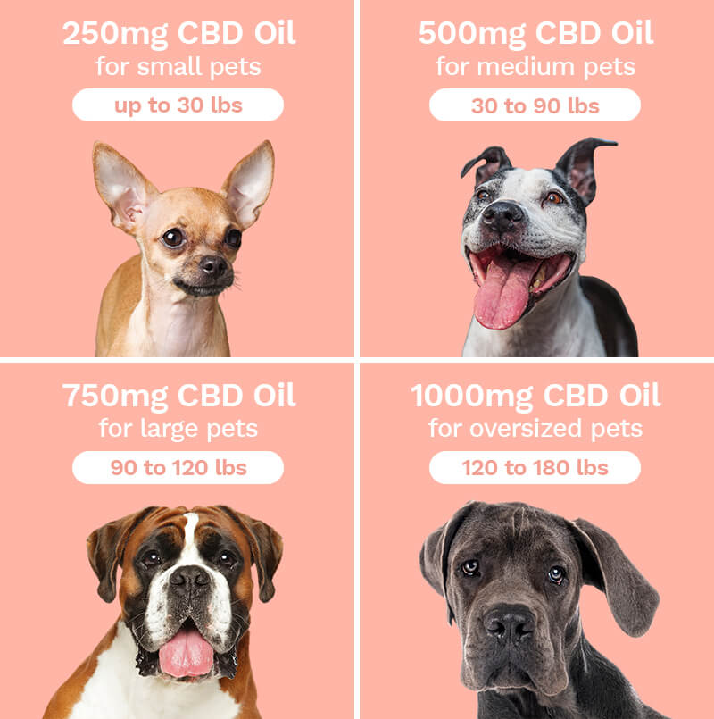 PenelopesBloom CBD Pet Oil Dosage Chart